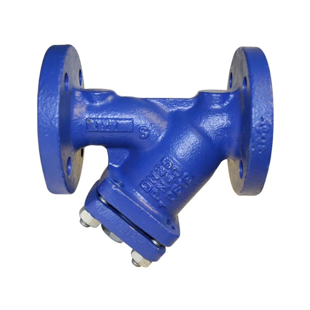 Cast Iron Y-Strainer Valve
